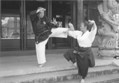 虎鶴拳・組合術
